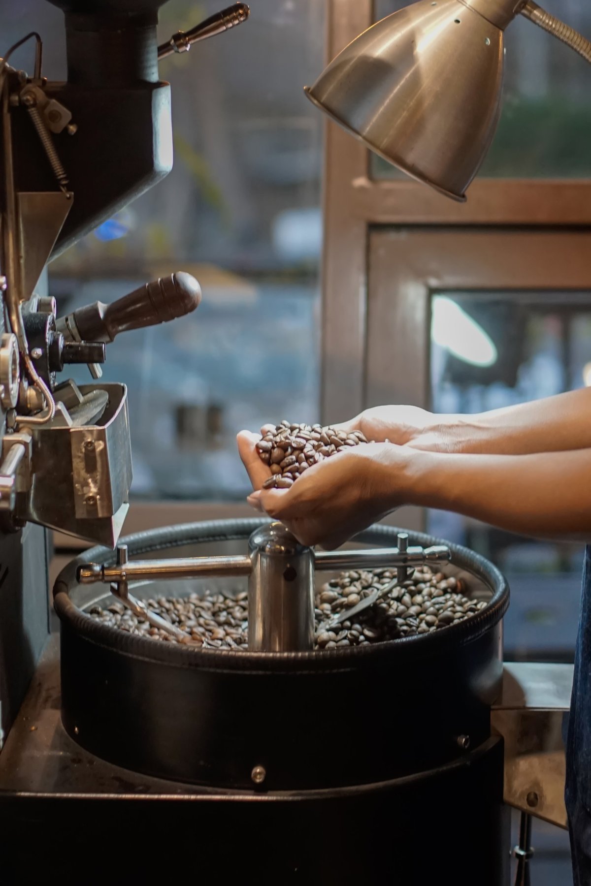 Verse koffiebonen bij industriële koffiebranderij